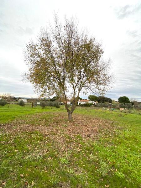 Foto 0b9c4f67-432b-4698-9424-1d8d4b38720b. Masia a Valdesalor - Rincón de Ballesteros Cáceres