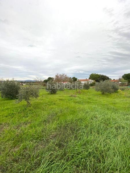 Foto e4f5a42d-cc1f-4b60-9d22-b40904d662dd. Masia a Valdesalor - Rincón de Ballesteros Cáceres