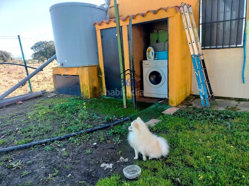 Foto d9547435-3c92-49a1-8304-68bfe03d9b6d. Masía se vende campo a 30 minutos de cáceres en Alcuéscar