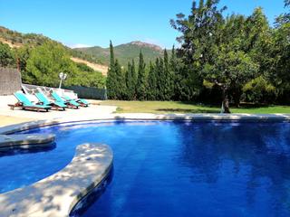 Casa  Sagunto-sagunt - partida pla de pavia. Chalet en venta con gran parcela, piscina y todas las comodidade