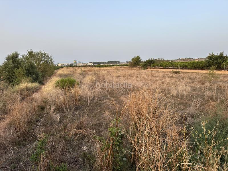 Foto 372013b3-df8b-4bab-b2f6-dd67a4ed8ce5. Terreno residenziale in rafelbuñol-rafelbunyol - in Pobla de Farnals (la)
