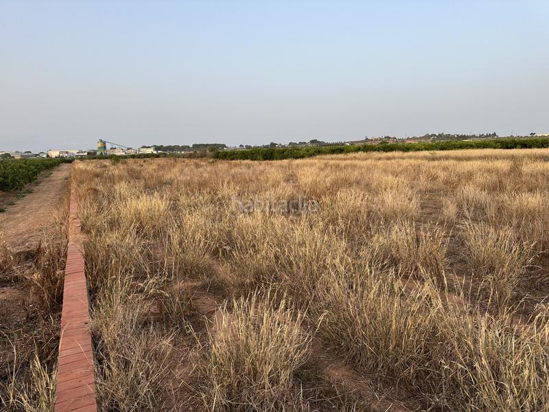 Foto 3f37f90f-bf47-4d8f-8a44-c491d39e8e88. Terreno residenziale in rafelbuñol-rafelbunyol - in Pobla de Farnals (la)