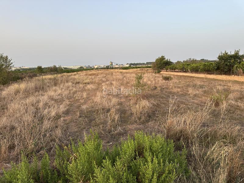 Foto 4e098448-58ca-40cd-86de-251e1f407dba. Terreno residenziale in rafelbuñol-rafelbunyol - in Pobla de Farnals (la)