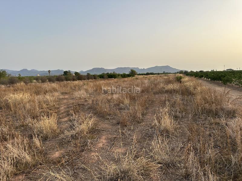 Foto 82af2b3d-e03a-4b67-a9bb-1fcb9de521d6. Terreno residenziale in rafelbuñol-rafelbunyol - in Pobla de Farnals (la)