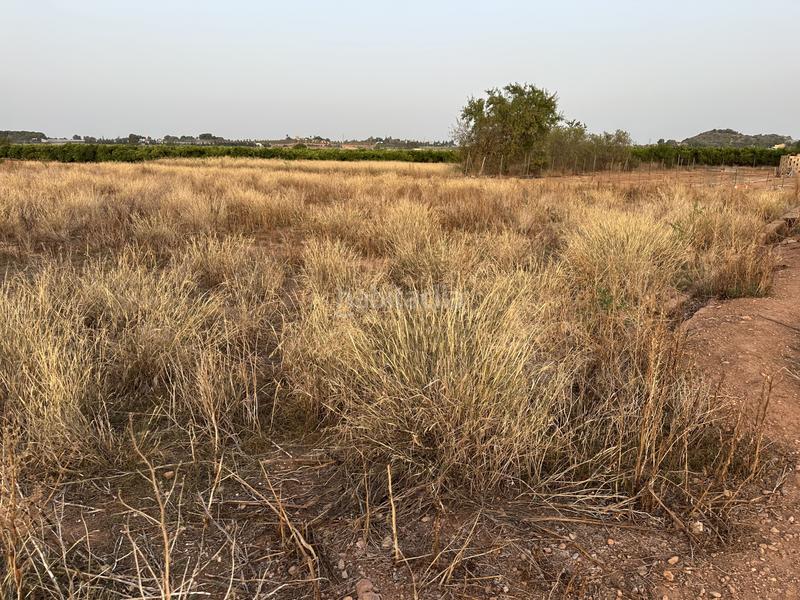 Foto 8c9a2683-514b-492c-83e8-81bcc243a1d4. Terreno residenziale in rafelbuñol-rafelbunyol - in Pobla de Farnals (la)
