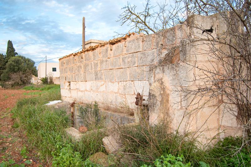 Foto 3fa10d72-bc8b-49e0-8394-1da5752629a7. Terreny residencial a ma-3500 20 a Llubí