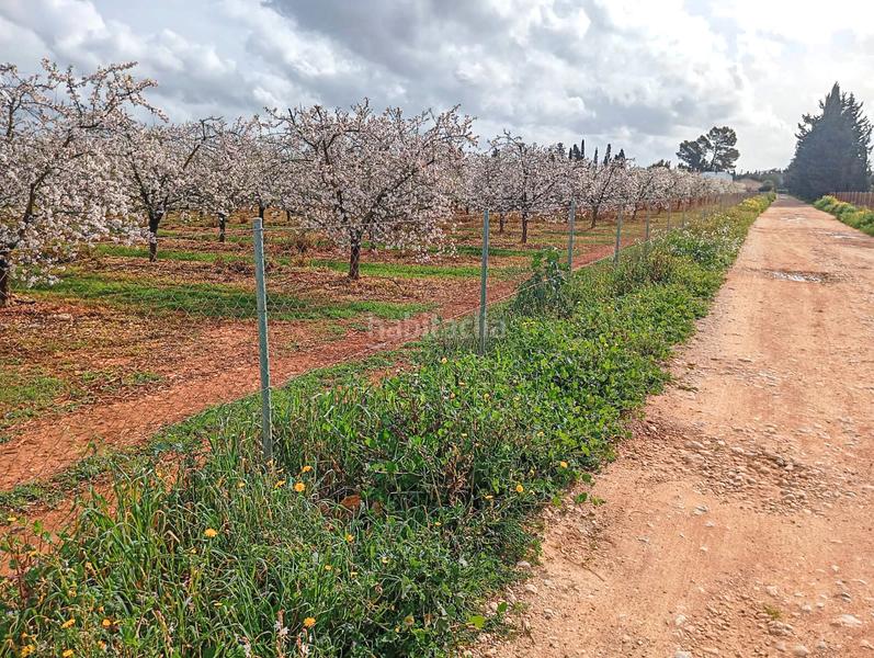 Foto 43624c08-789b-4be5-b20b-0670aa76839b. Terreny residencial a ma-3500 20 a Llubí