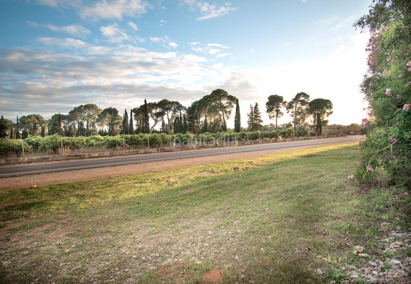 Foto 6a0b0d02-de18-4e57-836f-22c18c115b5d. Terreny residencial a ma-3500 20 a Llubí