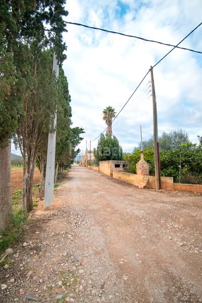 Foto bee0ec2e-e3e3-4890-bb1d-a4d5a09a9036. Terreny residencial a ma-3500 20 a Llubí