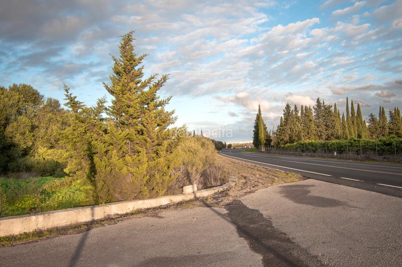 Foto d8b7e9c0-177f-444a-9c01-2887ec26b2fe. Terreny residencial a ma-3500 20 a Llubí