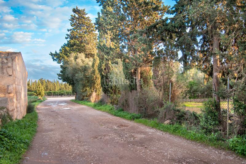 Foto dd7d8df4-033a-4680-a1b4-43e681ef3714. Terreny residencial a ma-3500 20 a Llubí