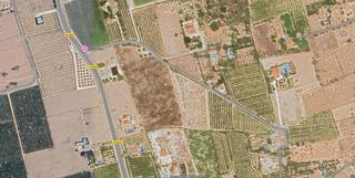 Finca rústica a Camino de las bayas 77. Terreno en las bayas – elche