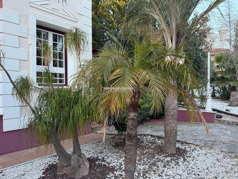 Foto 75a14e4a-7c6c-475f-a4ff-a5bb7cb37cb6. Chalet avec parking piscine dans Altorreal - El Chorrico Molina de Segura