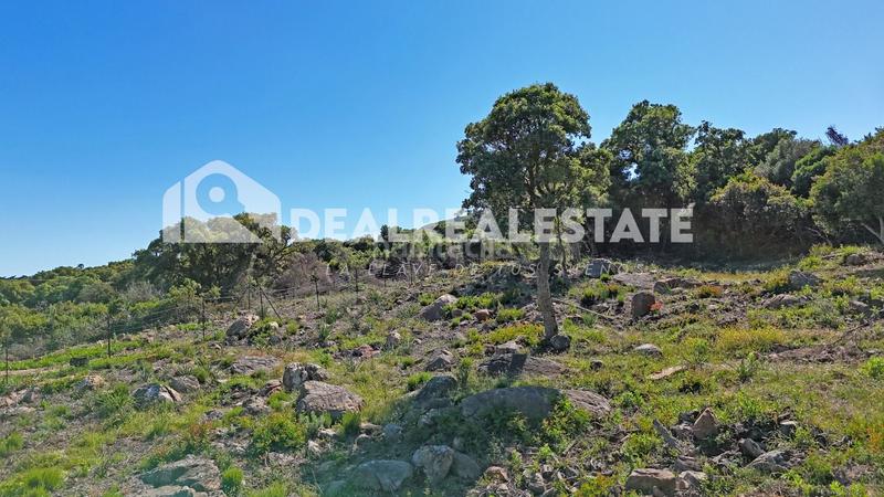 Foto 2f214371-de34-4574-9427-9607e6e70c73. Terreny residencial a El Cuartón - El Bujeo Tarifa