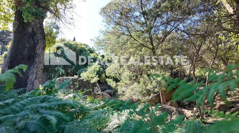 Foto 4c6544a6-2b0d-4ae4-8735-777f27b422ea. Terreny residencial a El Cuartón - El Bujeo Tarifa