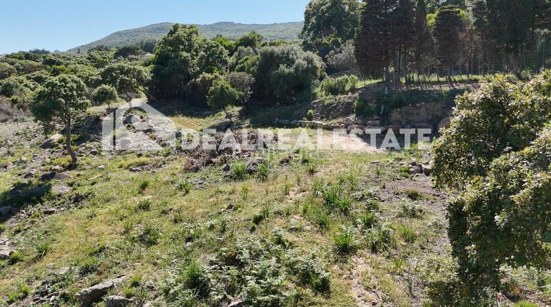 Foto 5c98a823-5bc7-4fe0-bfb0-d3c244e3f42e. Terreny residencial a El Cuartón - El Bujeo Tarifa