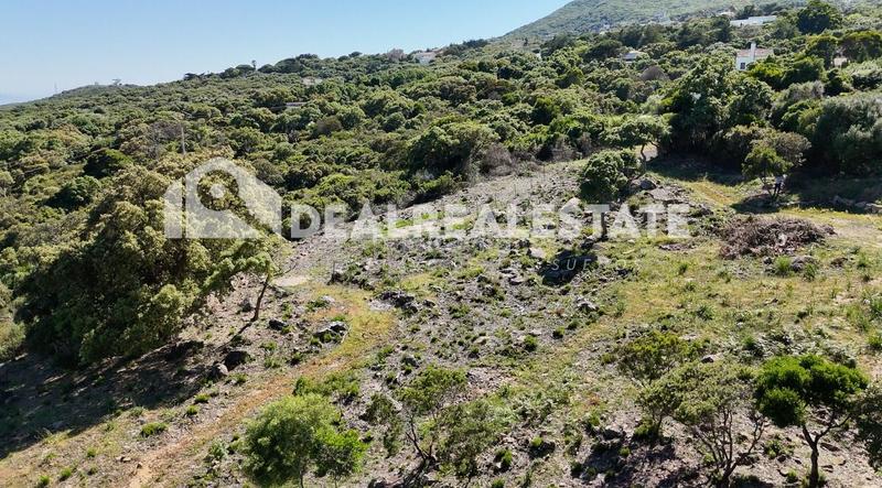 Foto 7b36fab7-258c-42c9-8b41-bcbd1b7b0546. Terreny residencial a El Cuartón - El Bujeo Tarifa