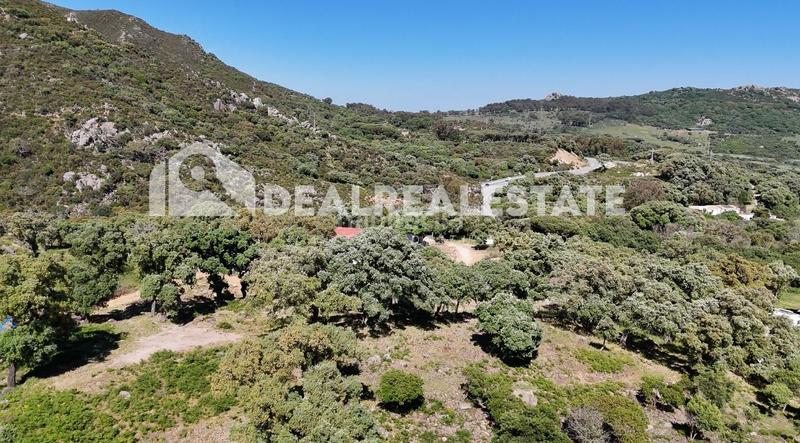 Foto 813dd712-cf86-44e9-bfd7-5218ddc4ab81. Terreny residencial a El Cuartón - El Bujeo Tarifa