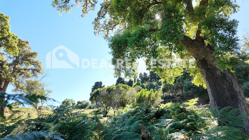 Foto 3f28d648-10bb-43e0-9246-011ac68bf3ce. Residential plot in El Cuartón - El Bujeo Tarifa