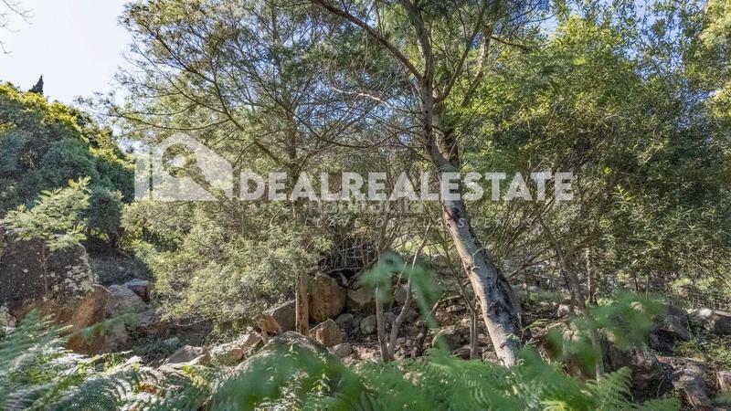 Foto 4eac33cb-71e9-4c0b-a321-0fbe58d6796d. Residential plot in El Cuartón - El Bujeo Tarifa