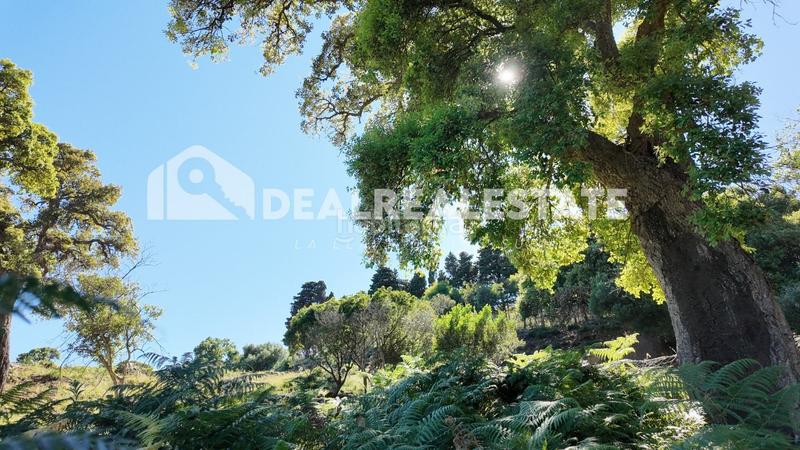 Foto e1178bd5-12d9-4c3e-bd86-d890b7cd0bb0. Residential plot in El Cuartón - El Bujeo Tarifa