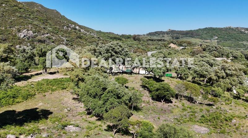 Foto 09defff0-699b-4d1c-bd3c-58d98bb31e42. Terreno residenziale in El Cuartón - El Bujeo Tarifa