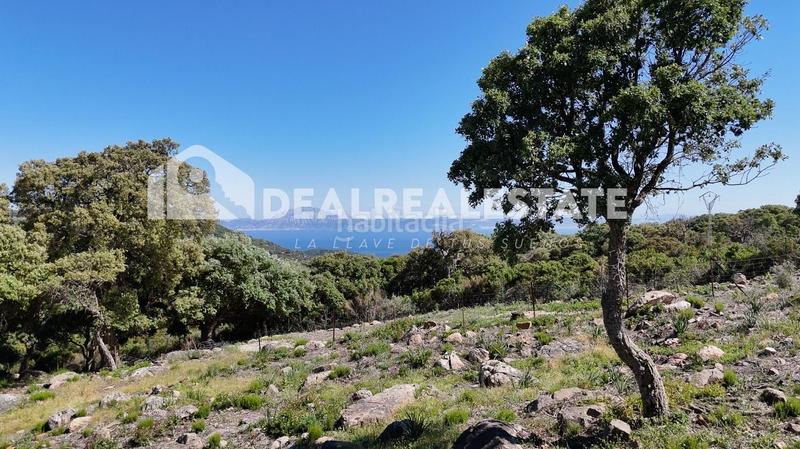 Foto 359a7192-33ac-4eae-b43a-87ec6155e19b. Terreno residenziale in El Cuartón - El Bujeo Tarifa