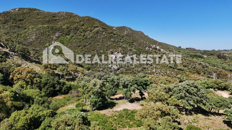 Foto 749c247e-16e9-419b-85fa-d878b9fdcfd3. Terreno residenziale in El Cuartón - El Bujeo Tarifa