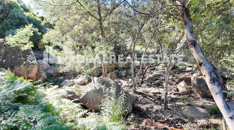 Foto 8bff7f0b-75c7-4914-b697-337e6b53a9fe. Terreno residenziale in El Cuartón - El Bujeo Tarifa