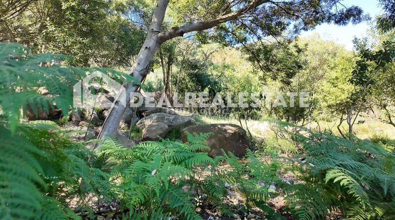 Foto 9637eb88-77c5-40f2-8493-ce1c9e7de8d0. Terreno residenziale in El Cuartón - El Bujeo Tarifa