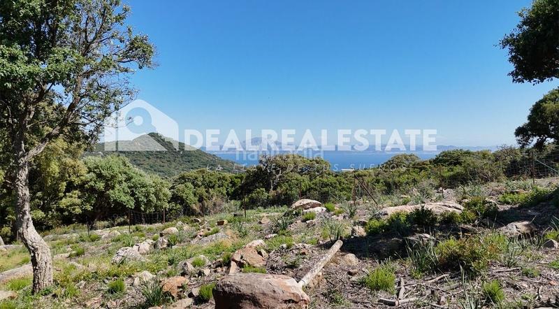 Foto a04818ed-cd4b-4f18-ac7d-e35d88760ac4. Terreno residenziale in El Cuartón - El Bujeo Tarifa