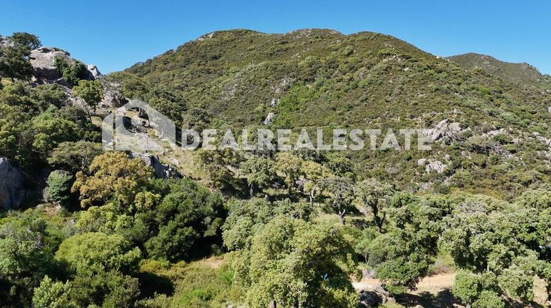 Foto e13d1ddd-5d87-4acb-ac5f-22608cef1e97. Terreno residenziale in El Cuartón - El Bujeo Tarifa