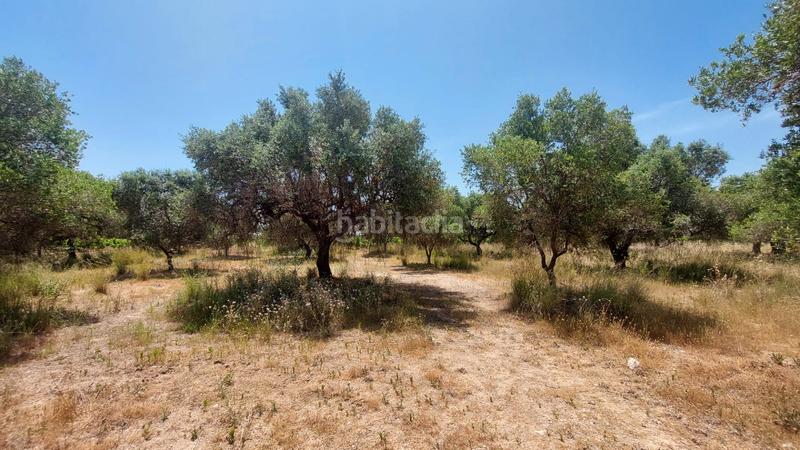 Foto 40d756de-a5fe-4d6c-acc8-8ff737077dbd. Propriété dans n/a dans La Franquesa-Oasis Park Vendrell (El)