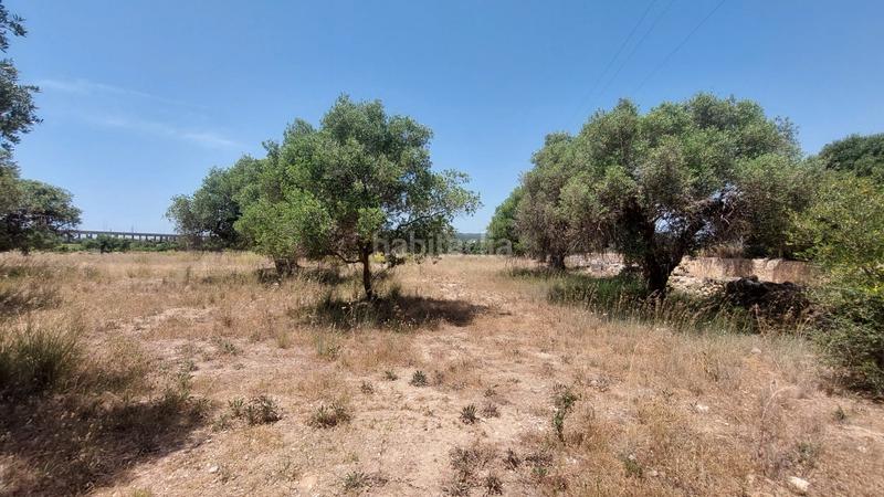 Foto 4a5d9e0f-2a31-4984-9b6c-d215a9ae24ee. Propriété dans n/a dans La Franquesa-Oasis Park Vendrell (El)