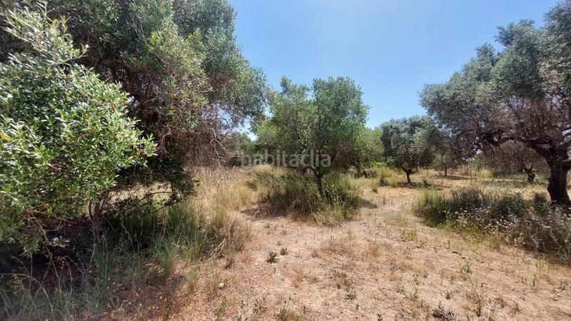 Foto 6854d310-2dd5-4cb2-90e3-2e96f9c5402b. Propriété dans n/a dans La Franquesa-Oasis Park Vendrell (El)