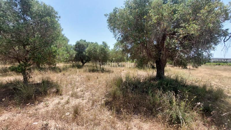 Foto cec3d932-550a-4d45-b3fc-1543874968d0. Propriété dans n/a dans La Franquesa-Oasis Park Vendrell (El)