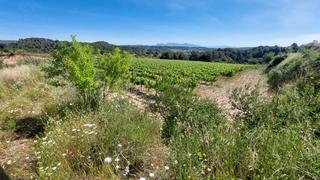 Finca rústica a Vilabella. ¡descubre esta increíble oportunidad de inversión en el término