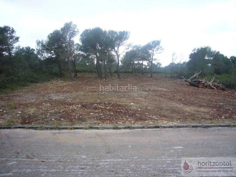 Foto e5cf48b1-20c0-4e9a-9b65-6aac3e148056. Terreny residencial a Querol