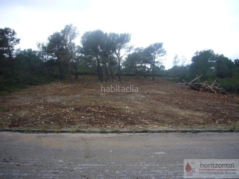 Foto d2e6b81f-bfe8-4ff1-997a-d950a320d330. Terreno residencial terreno en Querol