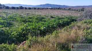 Terreny residencial a Bisbal del Penedès (La). La bisbal del penedèsterreno