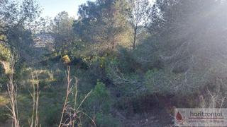 Terreno residenziale in Mas Borràs-Coto del Rey. El vendrellterreno