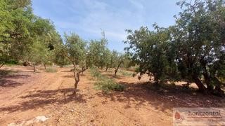 Terreno residenziale in Mas Borràs-Coto del Rey. El vendrellterreno