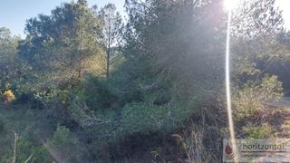 Residential Plot in Bonastre. Bonastreterreno