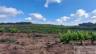 Terreno residencial en Secuita (La). La secuitaterreno Terreno residencial en Secuita (La). La secuitaterreno