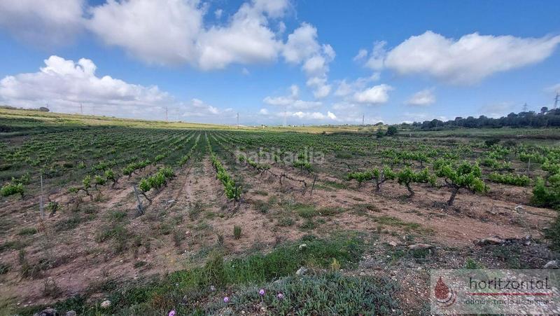 Foto 02eae188-6eaf-41b8-b923-57f9e9696bc8. Terreny residencial a Secuita (La)