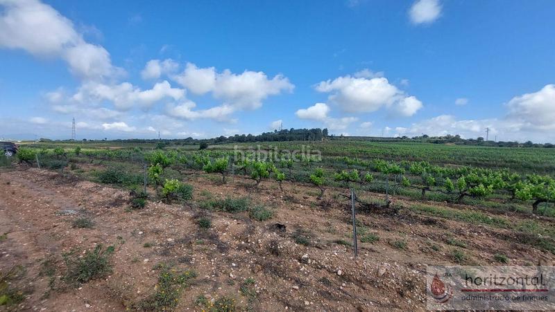 Foto 228b8841-1d57-4bad-8547-2ec3a903b746. Terreny residencial a Secuita (La)