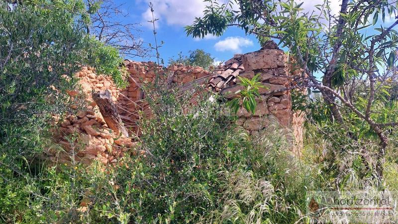 Foto 49409361-1579-4855-b46d-6c3dc5fba4e6. Terreny residencial a Secuita (La)