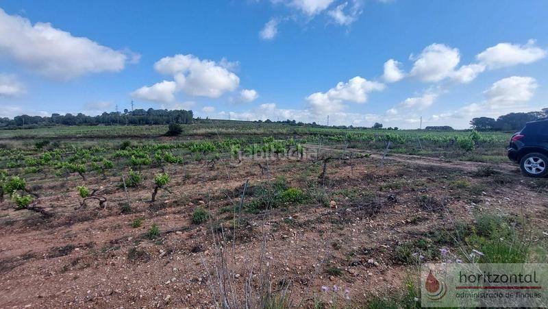 Foto 62048011-2525-4f52-966a-f6fa06c170bf. Terreny residencial a Secuita (La)