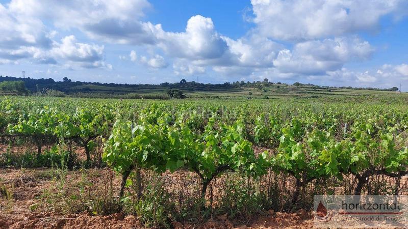 Foto 7e6aae16-4b65-483b-808c-2cc6d23f9929. Terreny residencial a Secuita (La)