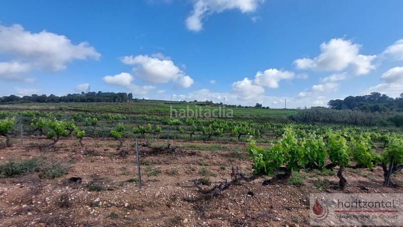 Foto b12ae4eb-1d73-45fc-99c8-da1e1f296f61. Terreny residencial a Secuita (La)